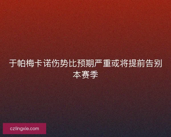 于帕梅卡诺伤势比预期严重或将提前告别本赛季