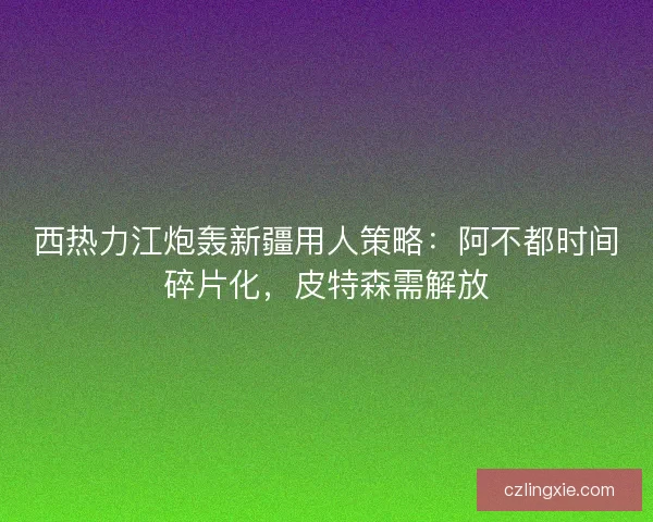 西热力江炮轰新疆用人策略：阿不都时间碎片化，皮特森需解放